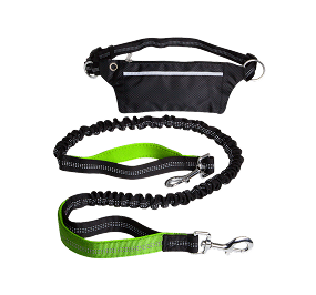 Running Leash